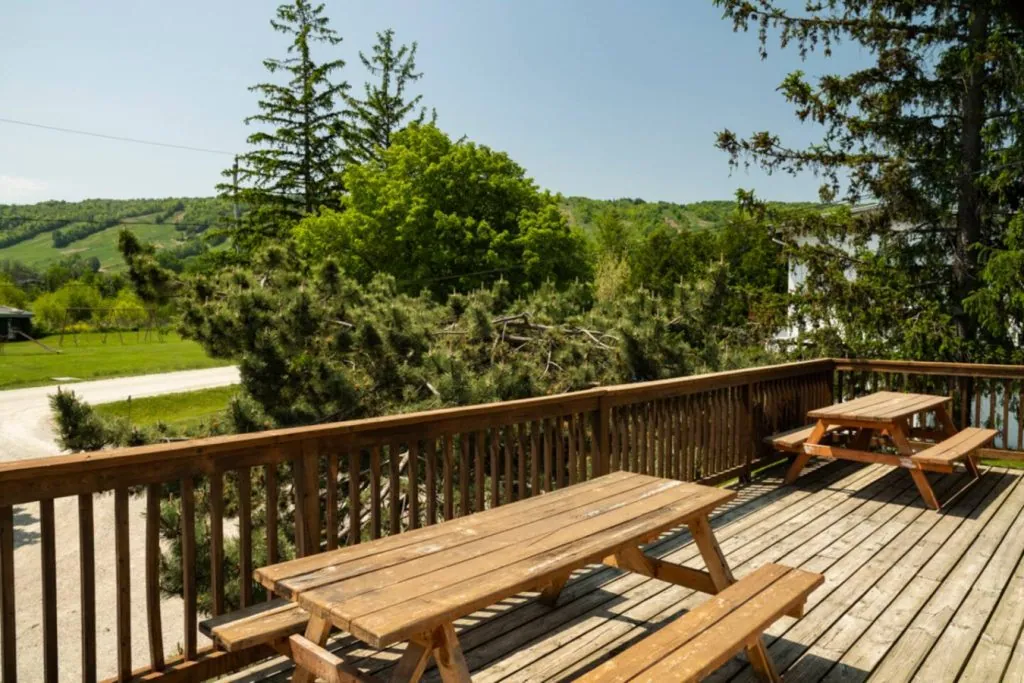 6 BR Blue Mountain Cottage - Private Beach - Hot Tub, Sauna, Ping Pong Table #52L_9