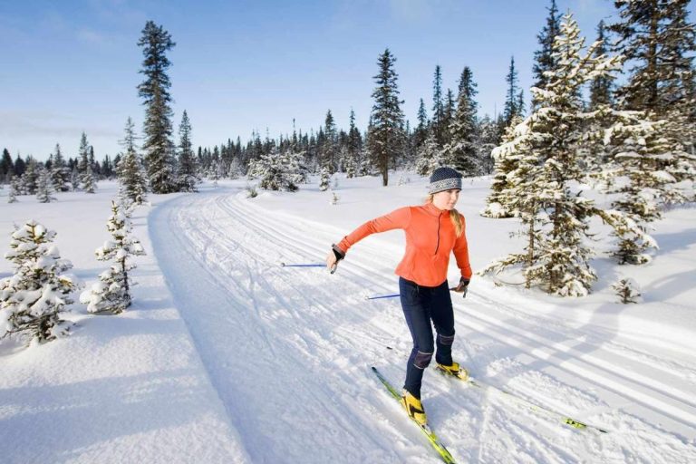 Cross Country Skining